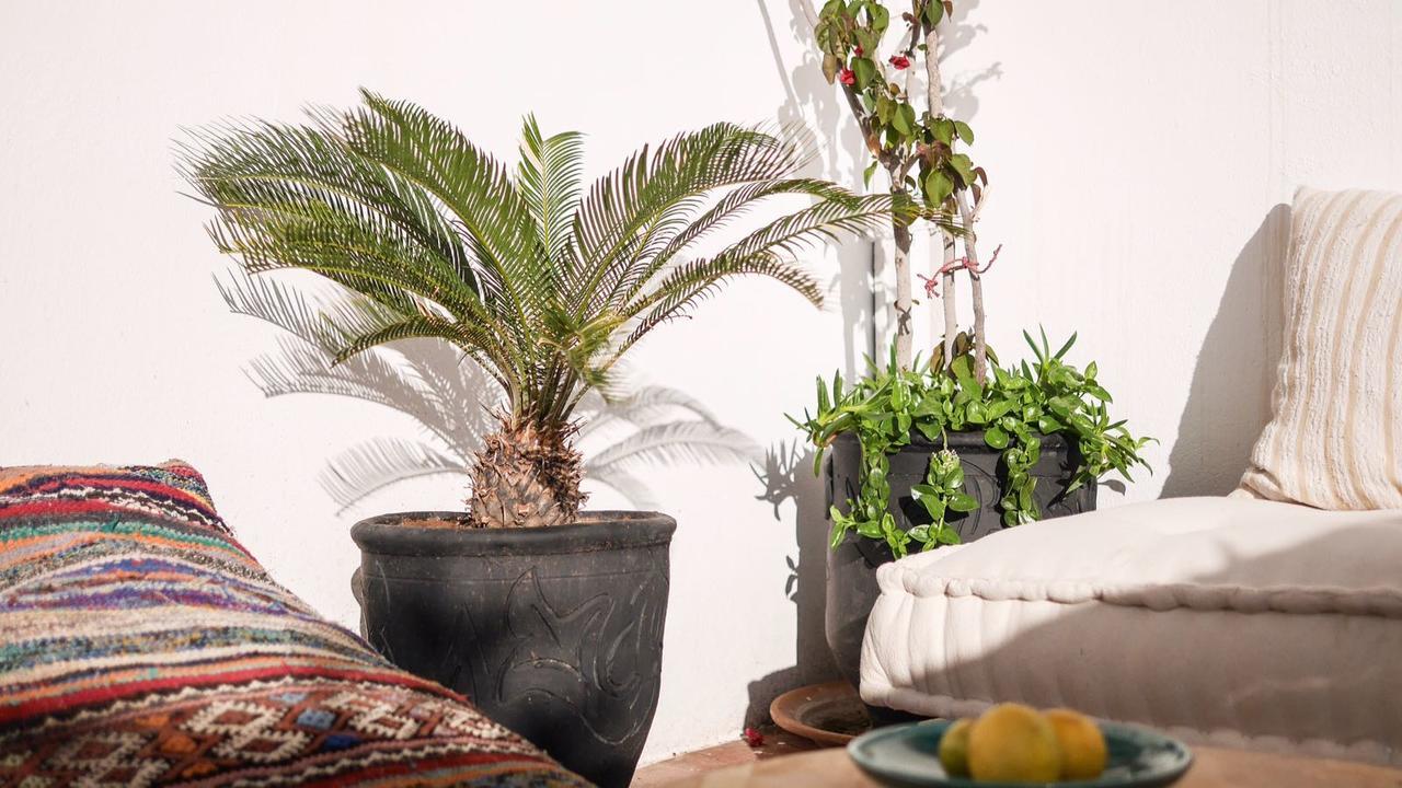 Boho 27 Hostel Marrakech Marrakesh Eksteriør billede